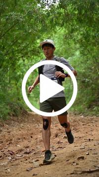 BIB:  <button type="button" onclick="openModal(26805463)" class="btn btn-primary btn-sm float-right" data-toggle="modal" data-target=".modal-high-quality">
                <i class="fa fa-download"></i> Download
                </button>